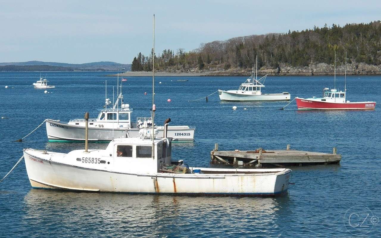 Fiskebåtar. bukt Pussel online