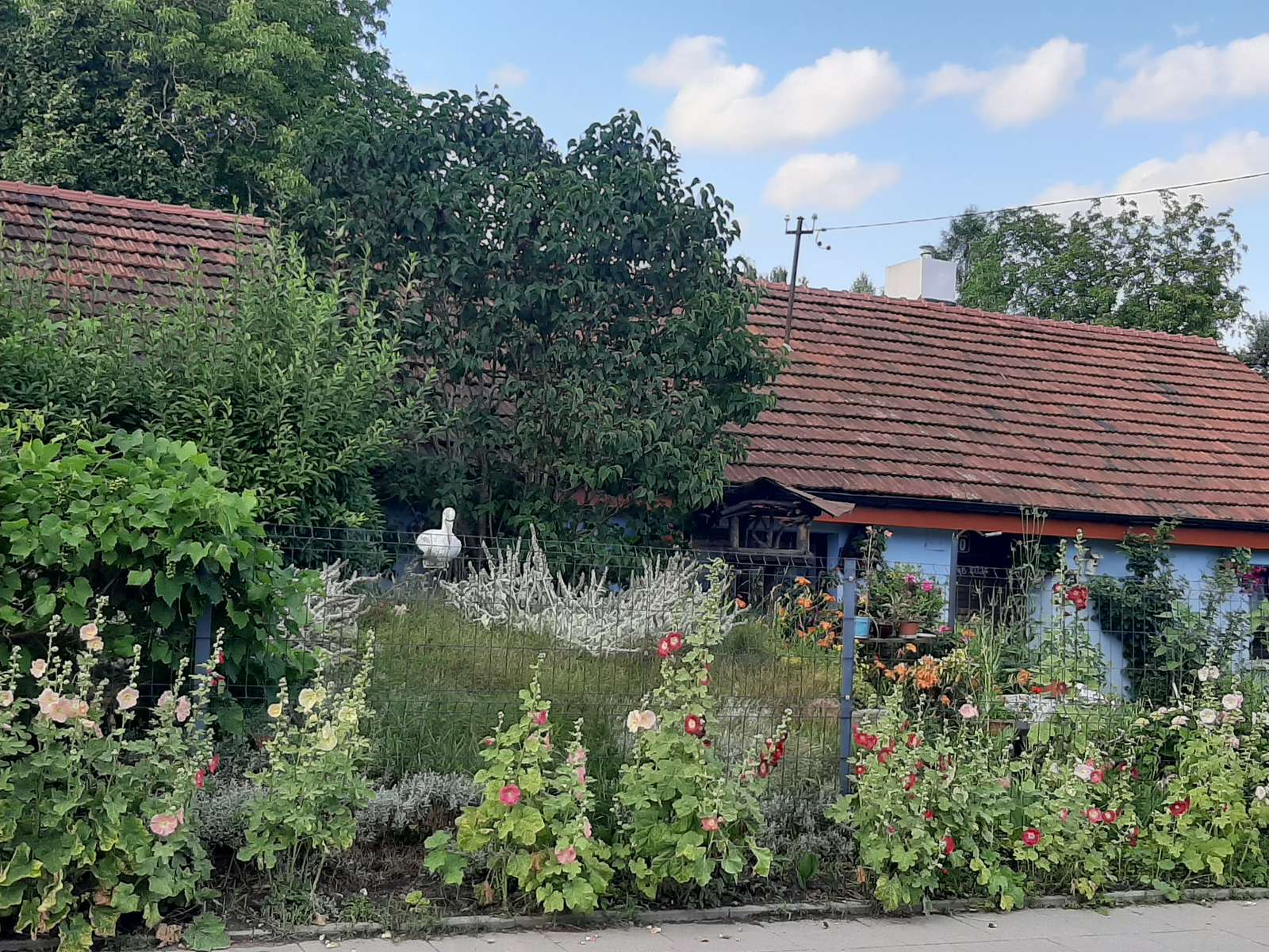 A house among the hollyhocks jigsaw puzzle online