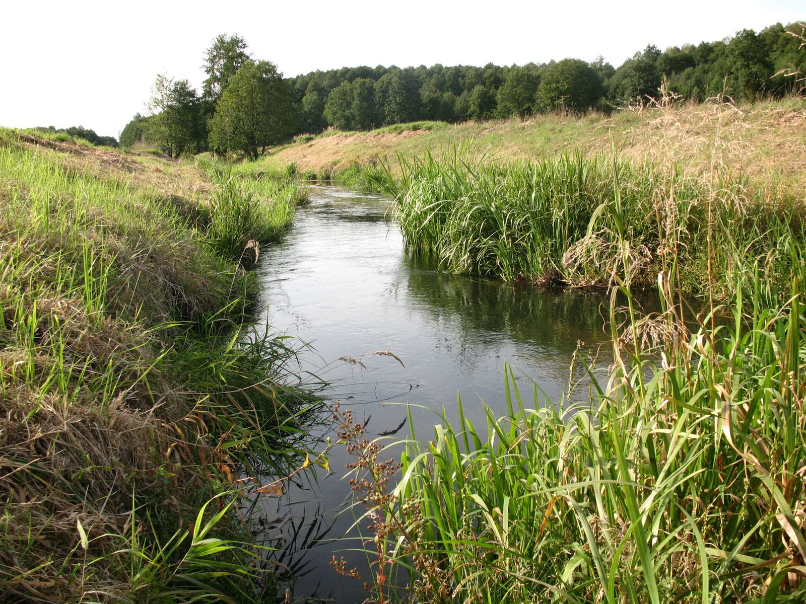 Budkowiczanka River, Opole Voivodeship Pussel online