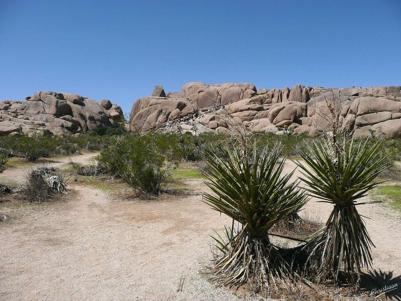 Parcul național Joshua Tree, Peisaj, Natură puzzle online