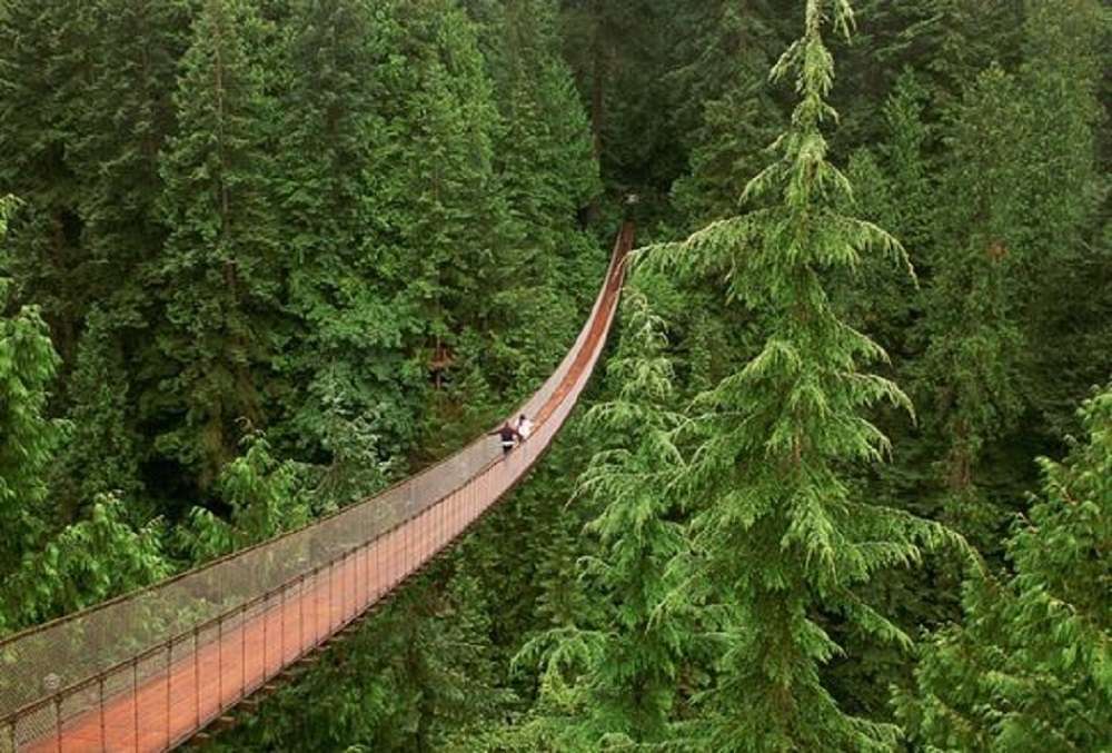 Pont suspendu de Capilano - Canada puzzle en ligne