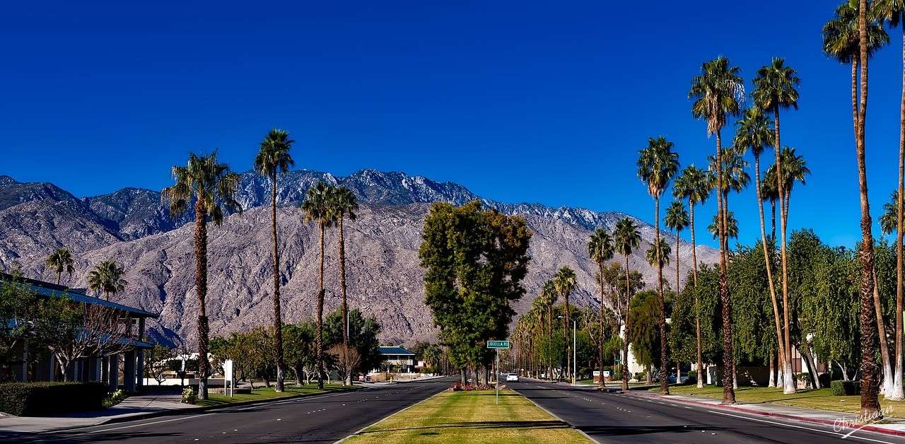 Palm Springs, Califórnia, Palmeiras. puzzle online