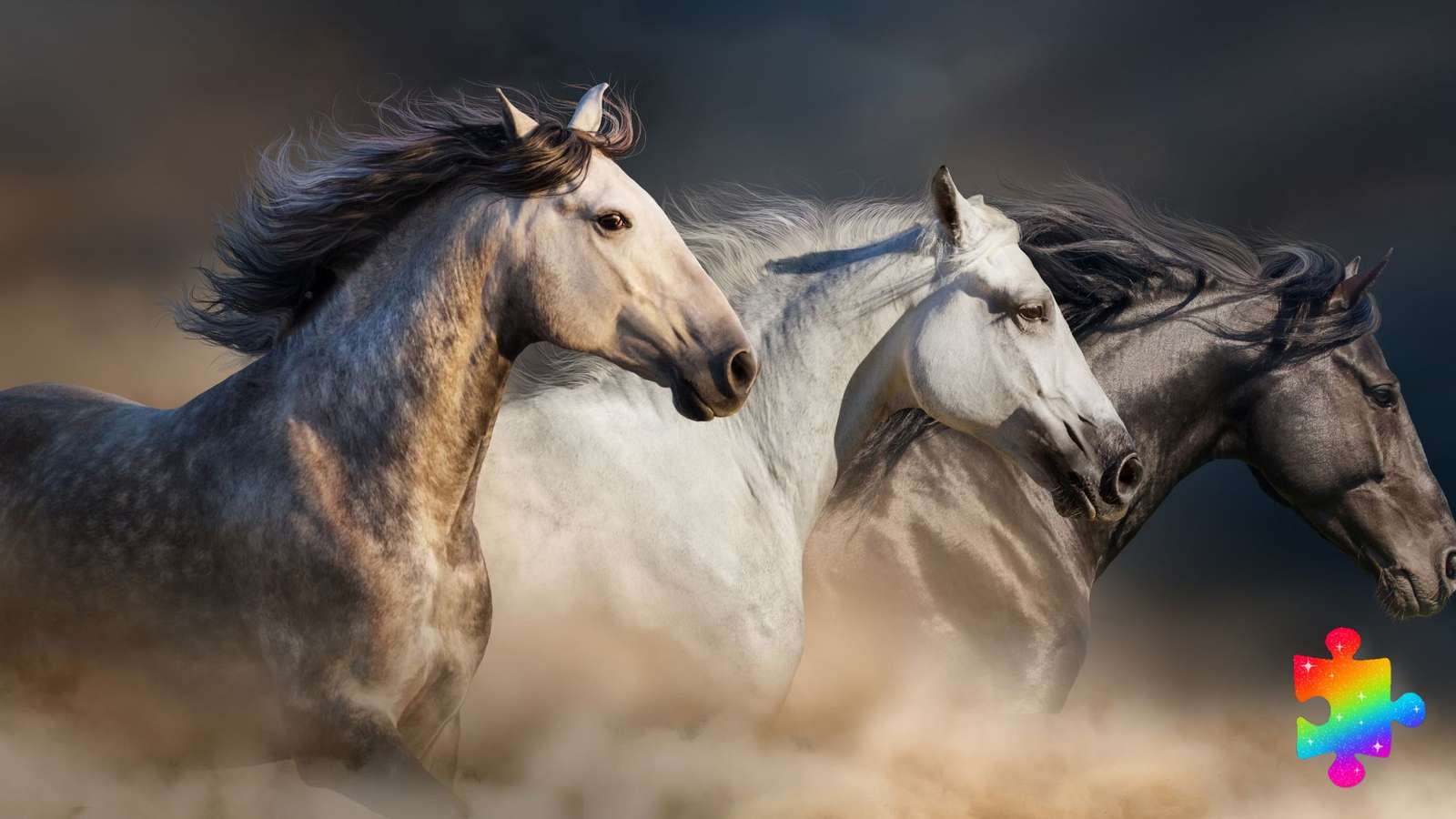 野生の馬 オンラインパズル