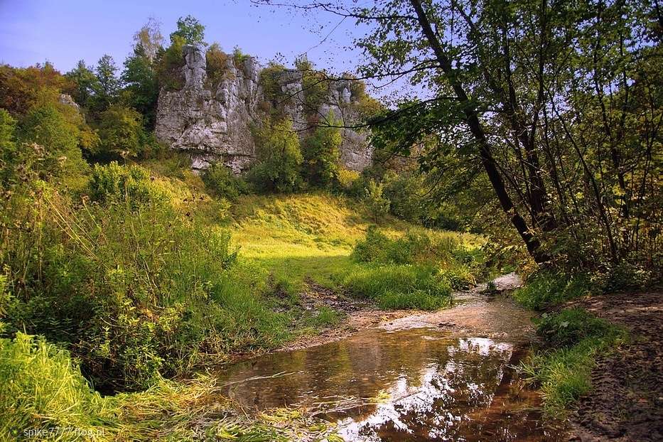 Vallée de Kluczwoda près de Cracovie puzzle en ligne