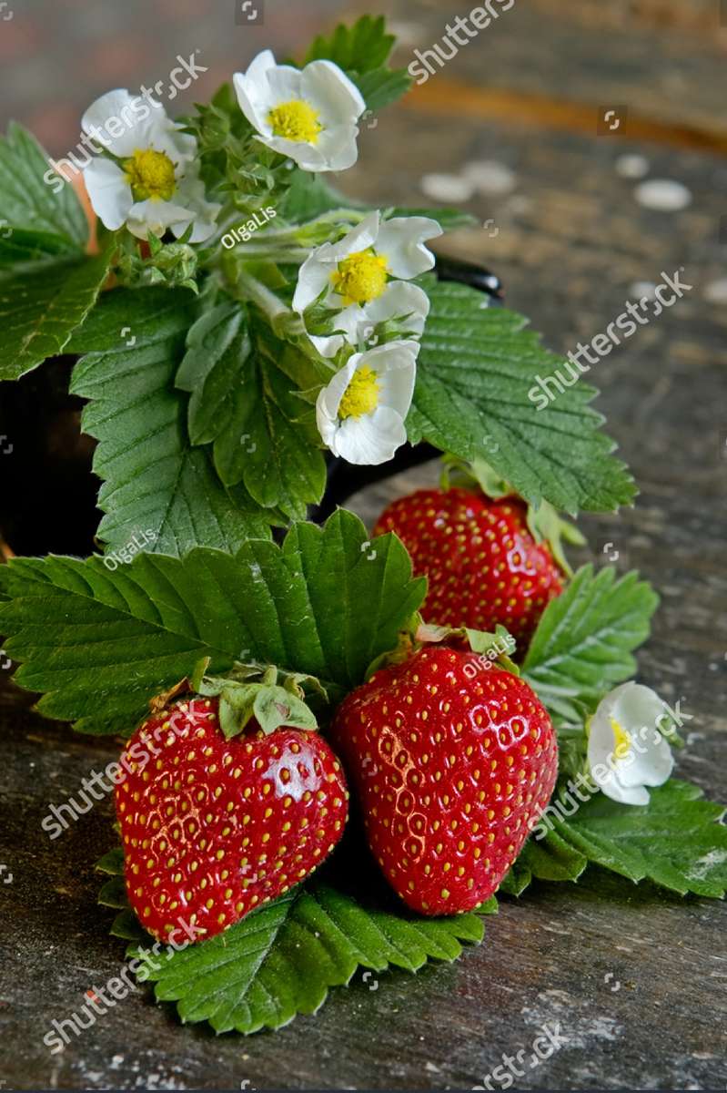 strawberries online puzzle