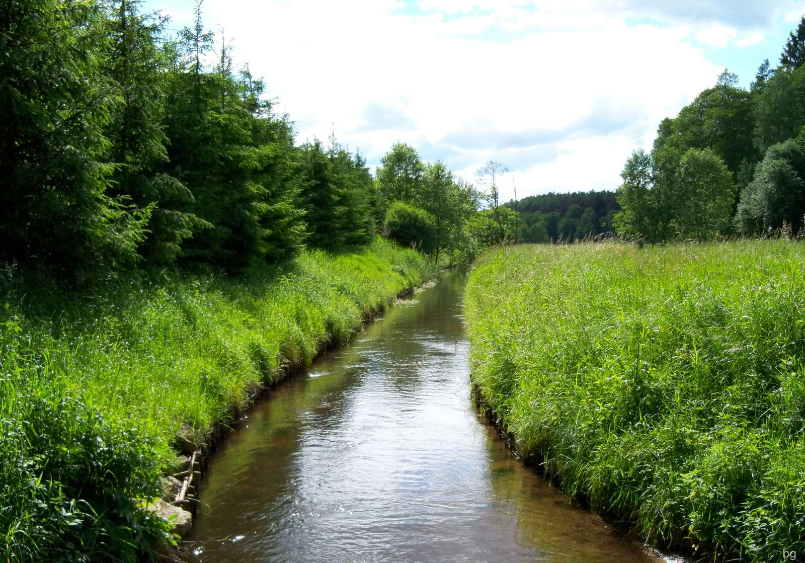 The Chotla River in Pomerania jigsaw puzzle online