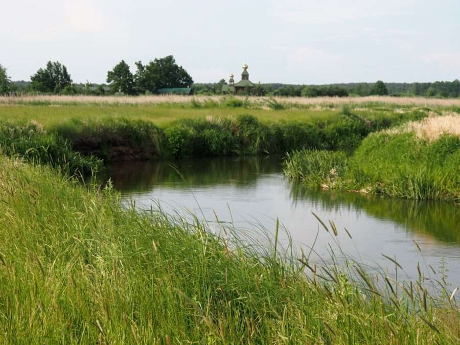 The Narewka River in eastern Poland jigsaw puzzle online