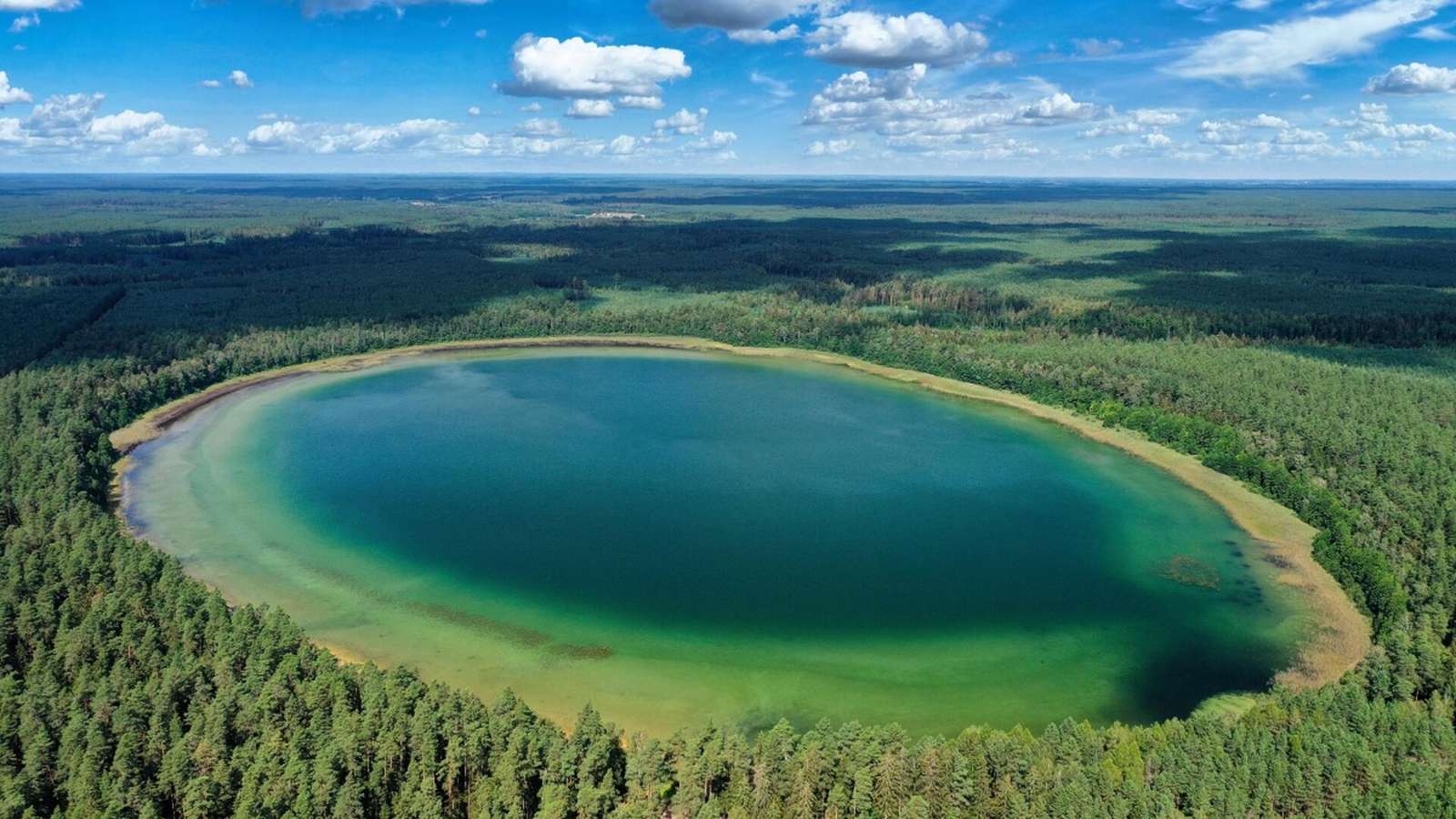 Un lac fermecător în pădure jigsaw puzzle online