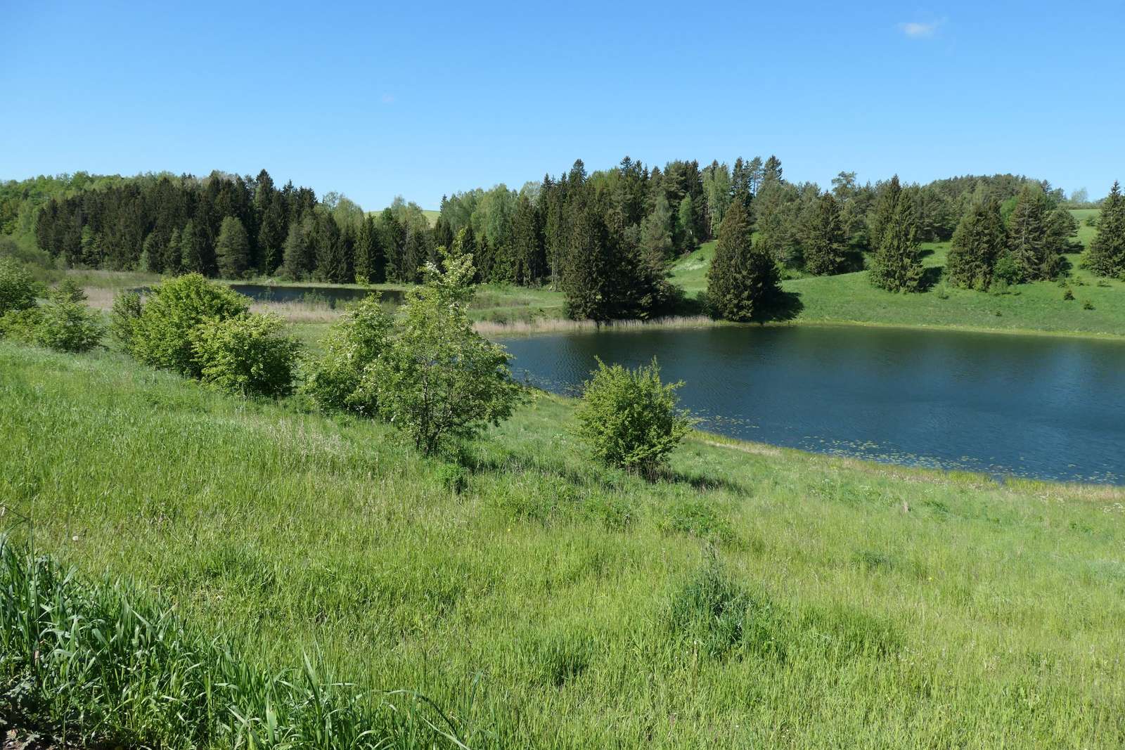 Un charmant lac dans la forêt puzzle en ligne