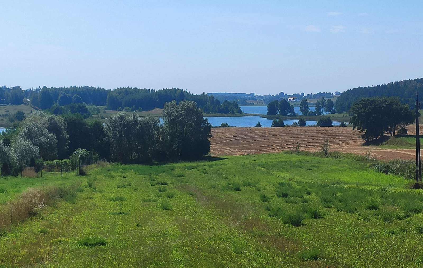 El lago detrás del prado. rompecabezas en línea