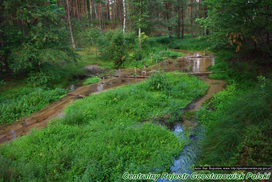 Il fiume Kozi Bród nella foresta puzzle online