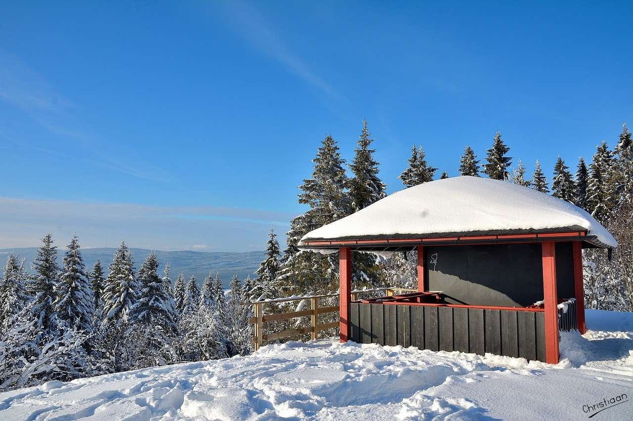 Mountain landscape, snow, house, tree. jigsaw puzzle online