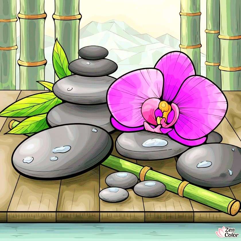 Colore zen puzzle online