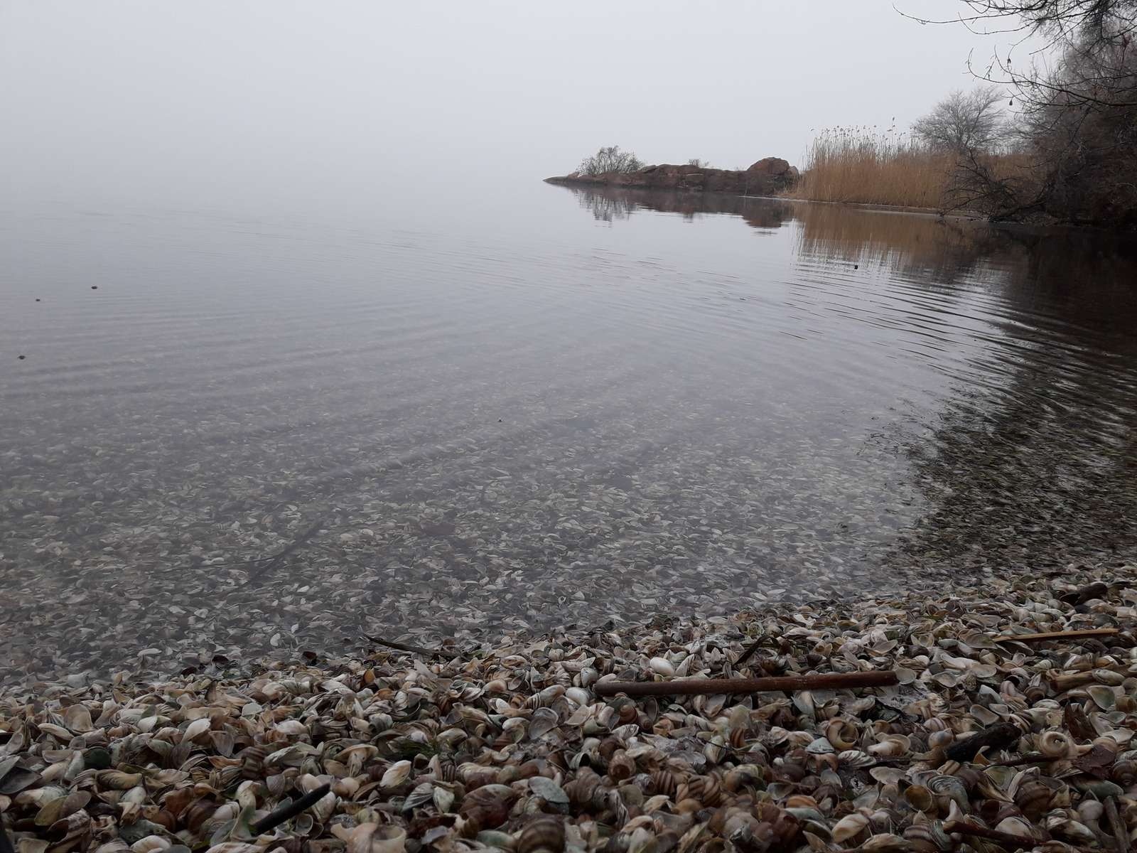 Höstmorgon vid floden Dnipro Pussel online