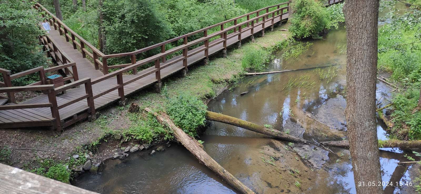 Pasarela de madera rompecabezas en línea