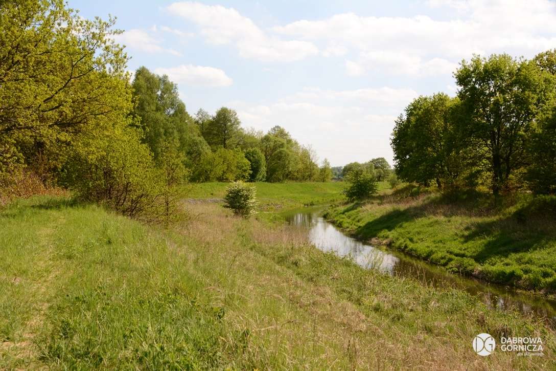 Czarna Przemsza-floden i Dąbrowa Górnicza pussel på nätet