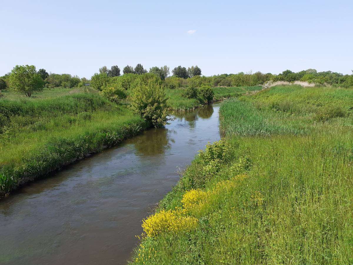 The Czarna Przemsza River in Dąbrowa Górnicza online puzzle