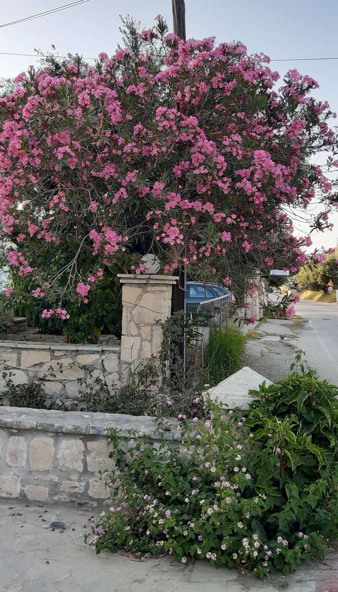 en Grecia en la esquina de una calle rompecabezas en línea