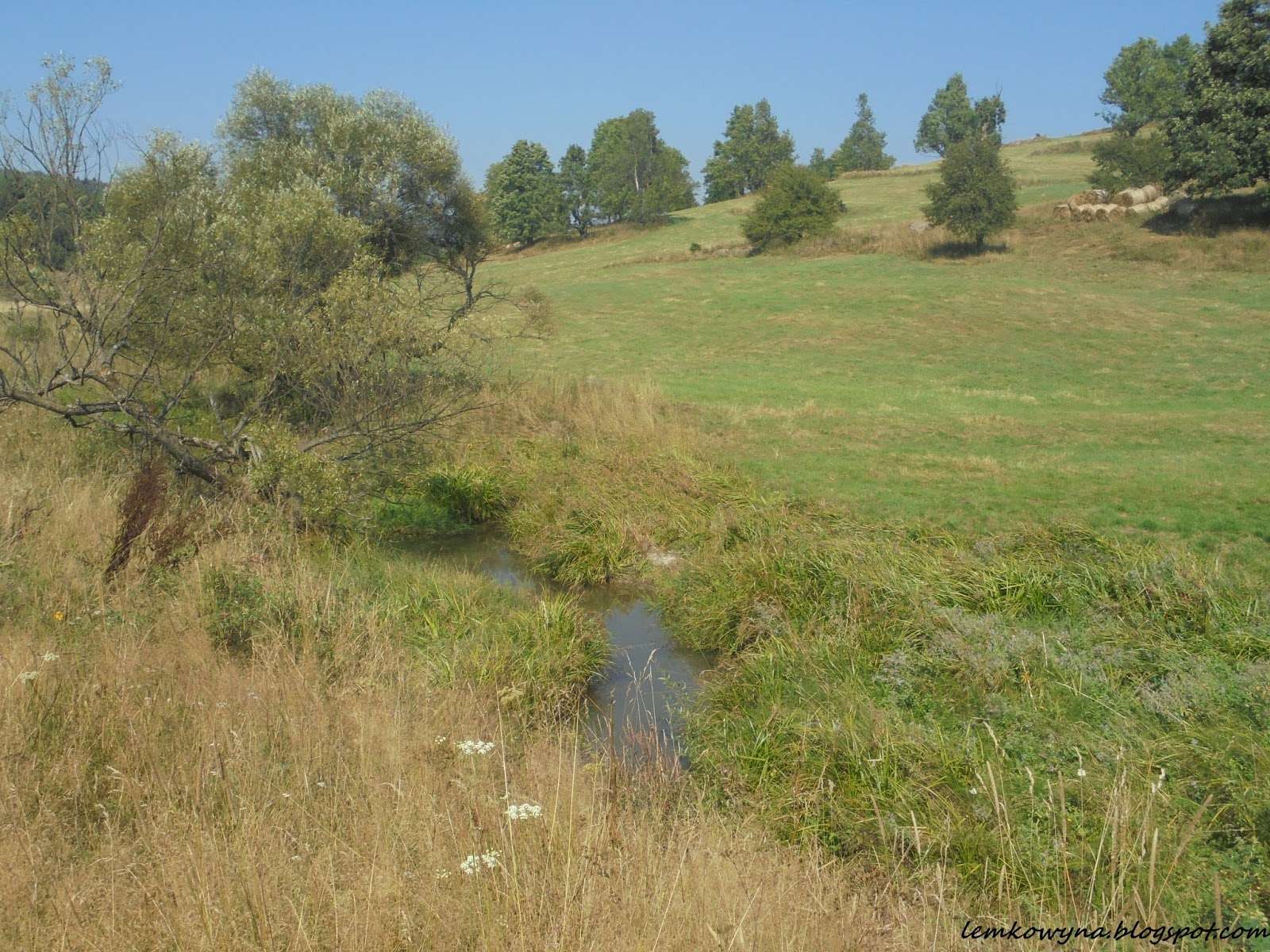 A stream in a summer meadow jigsaw puzzle online