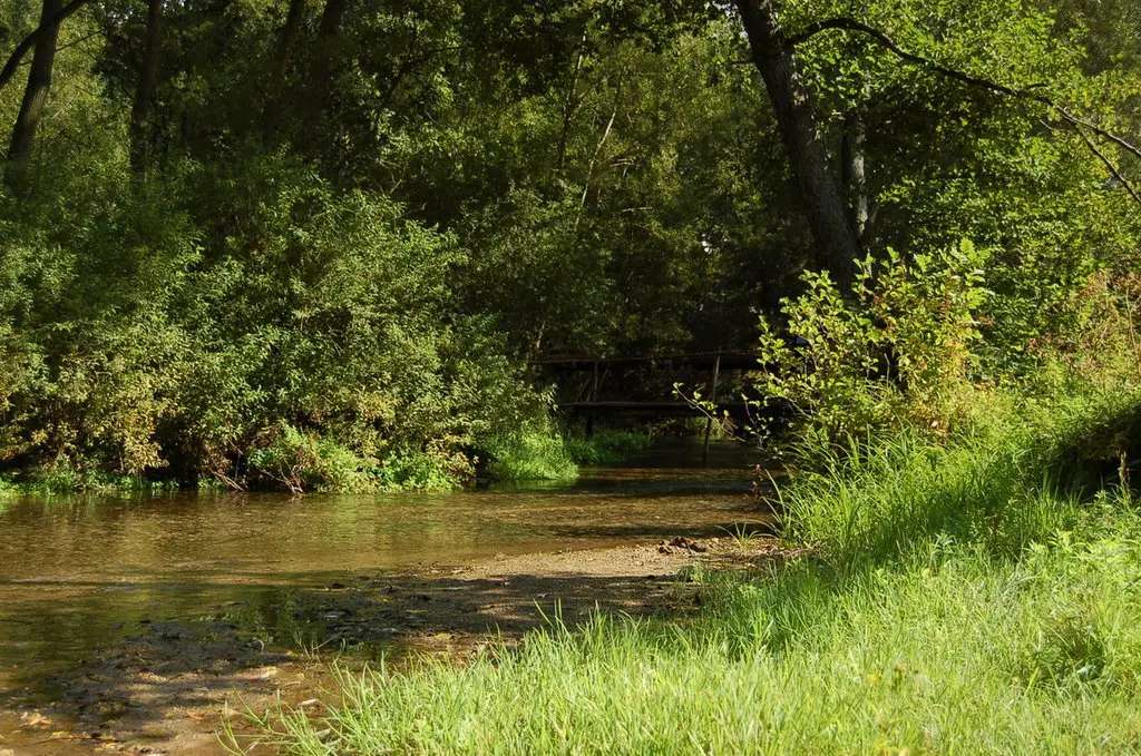 Luie rivier in het bos legpuzzel online