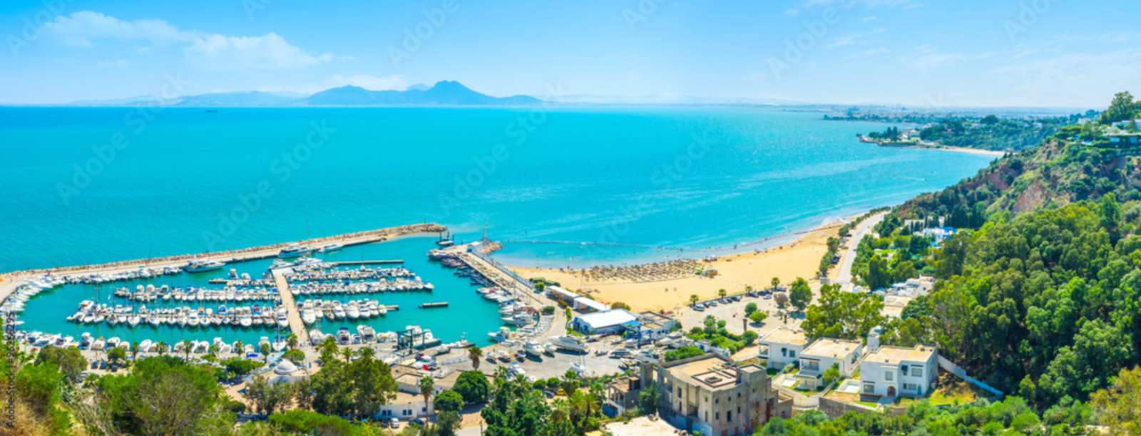 Marina de Sidi Bou Saïd puzzle en ligne