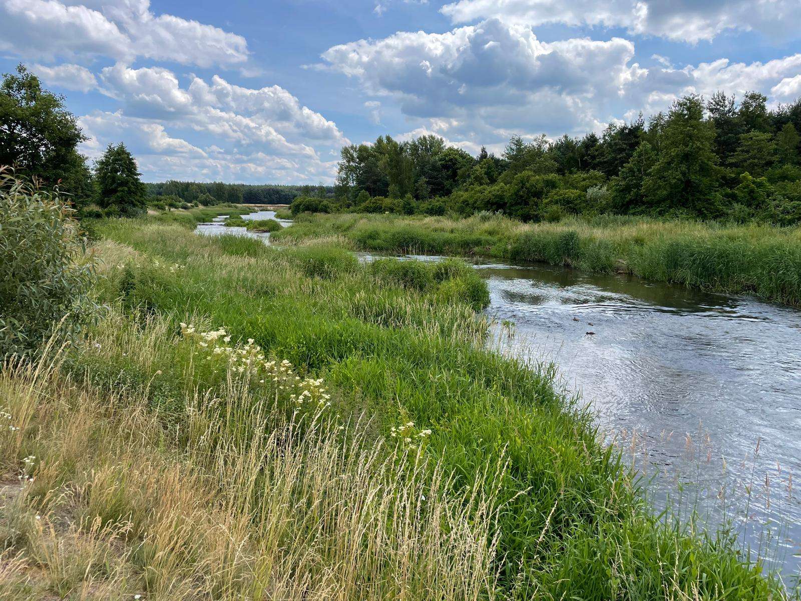 Polnische Natur und ein Fluss Online-Puzzle