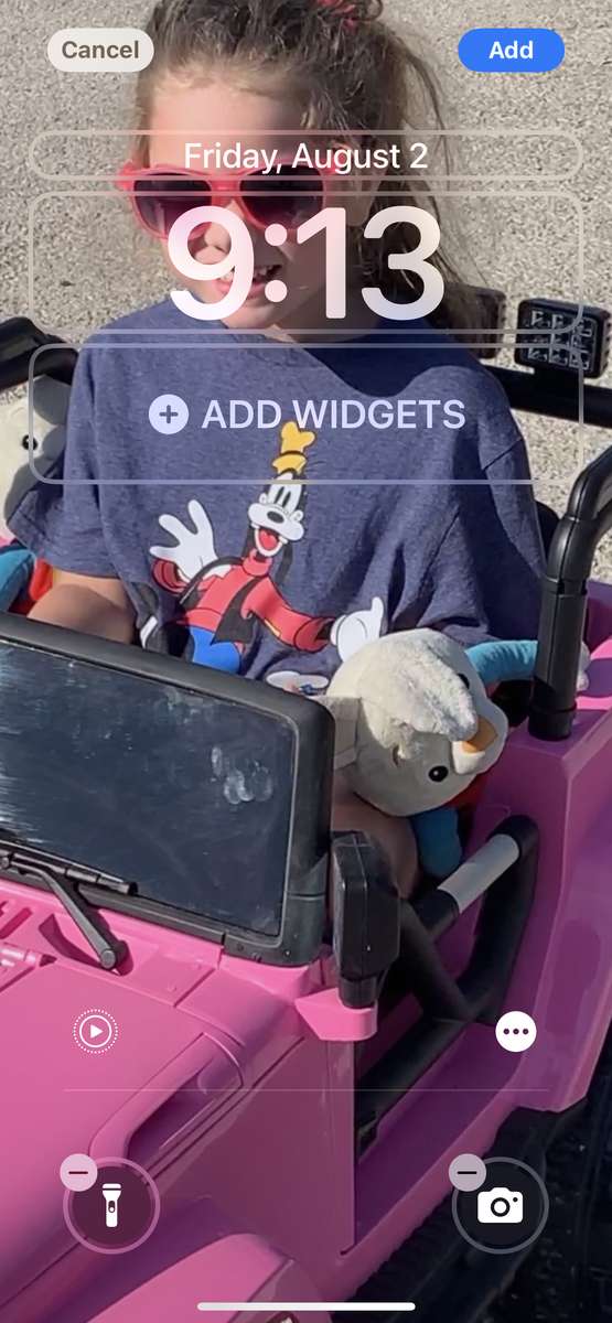 Rors in pink jeep car online puzzle