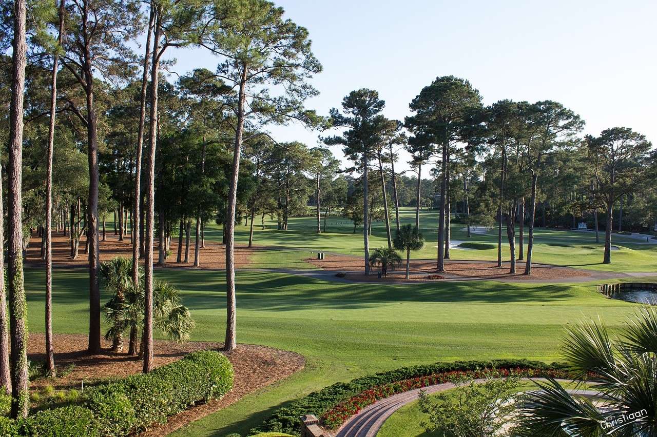 Golfplatz, South Carolina, Fairway. Puzzlespiel online