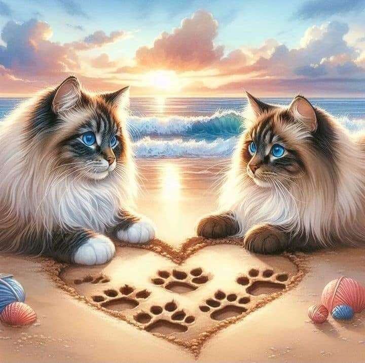 i cuori dei gatti puzzle online