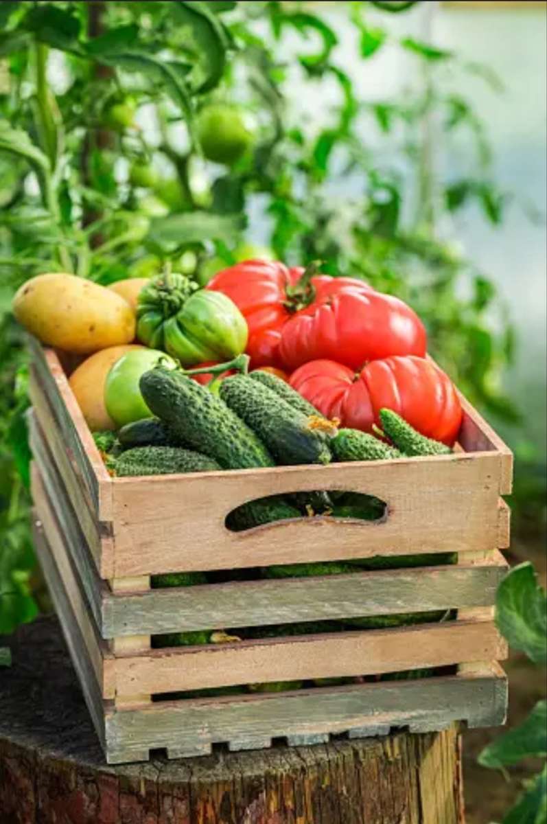 A Chest Full of Vegetables online puzzle