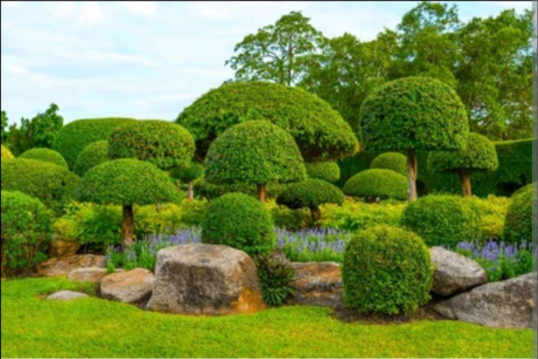 Boxwood Garden UK παζλ online