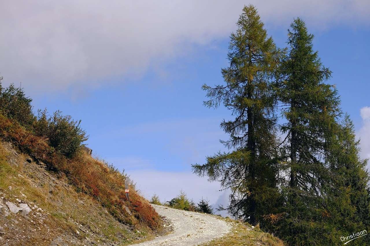 Weg, Berg, Natur, Aussicht. Puzzlespiel online