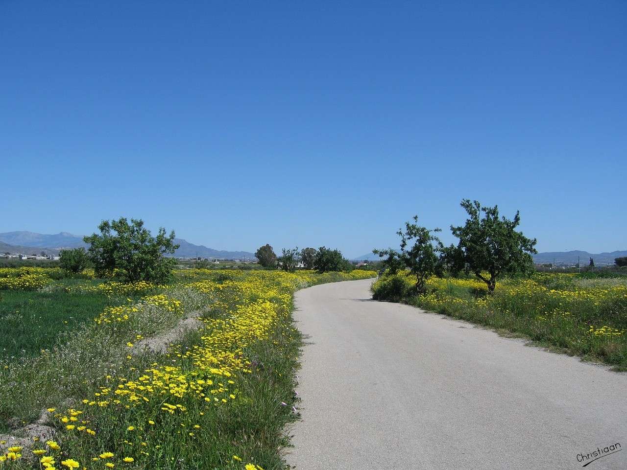 Strada del villaggio, campo, prato. puzzle online