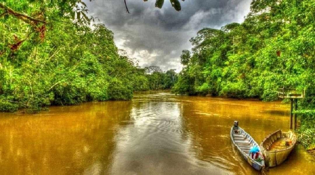 Yasuni nationalpark - Ecuador Pussel online