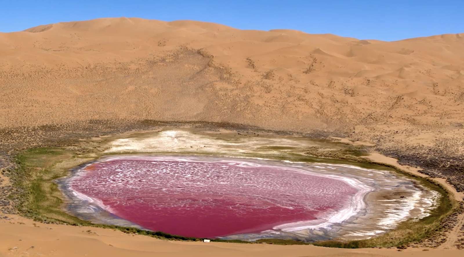 Lago rosa en el desierto rompecabezas en línea