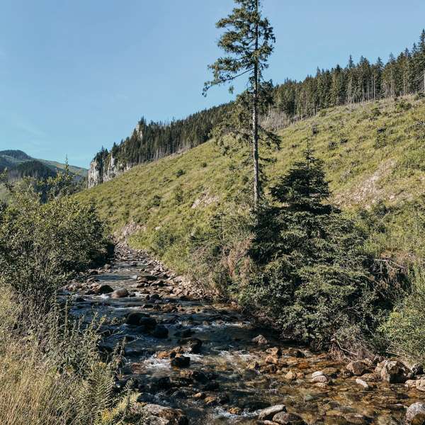 Valle de Chochołowska en las montañas Tatra rompecabezas en línea