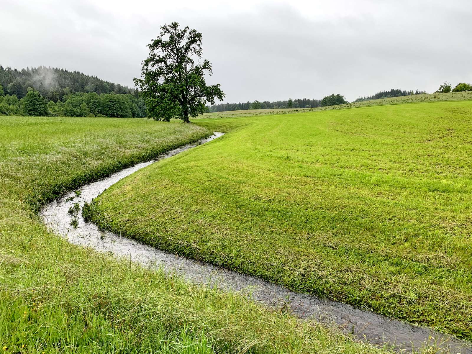 Un arroyo fluye a través de un campo. rompecabezas en línea