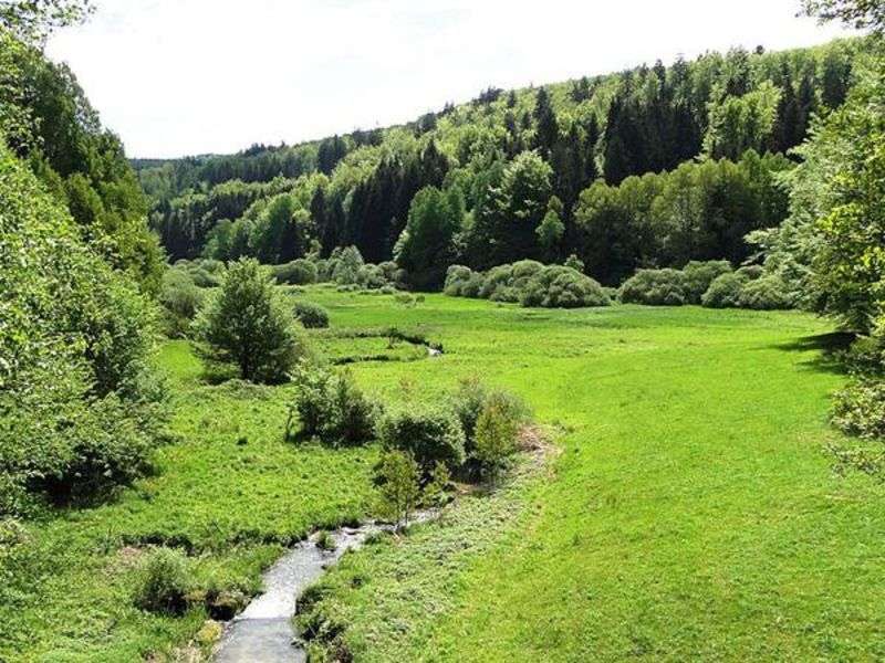 Un arroyo fluye a través de un campo. rompecabezas en línea