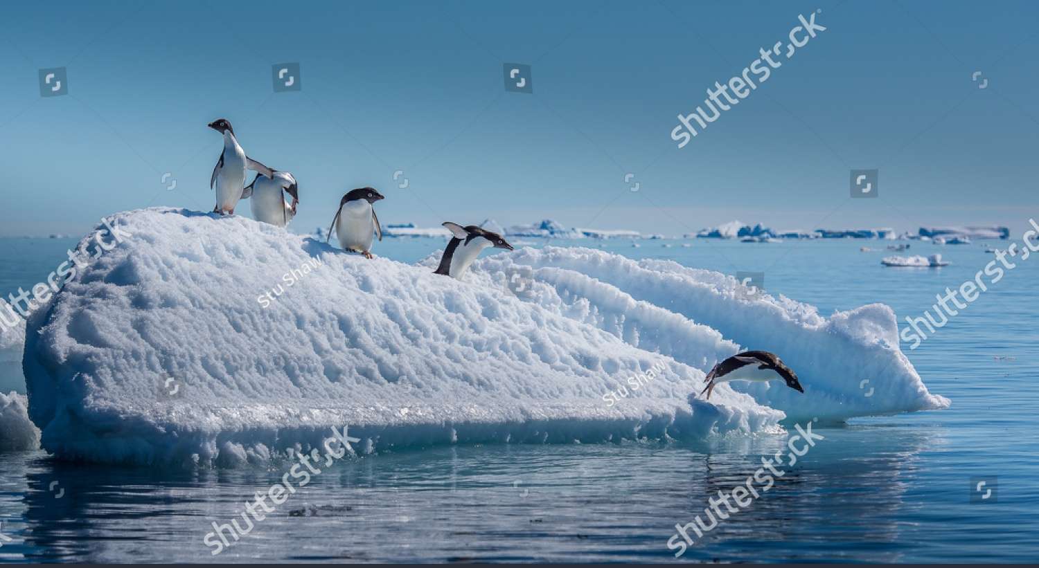 Penguins Jumping into the Water jigsaw puzzle online