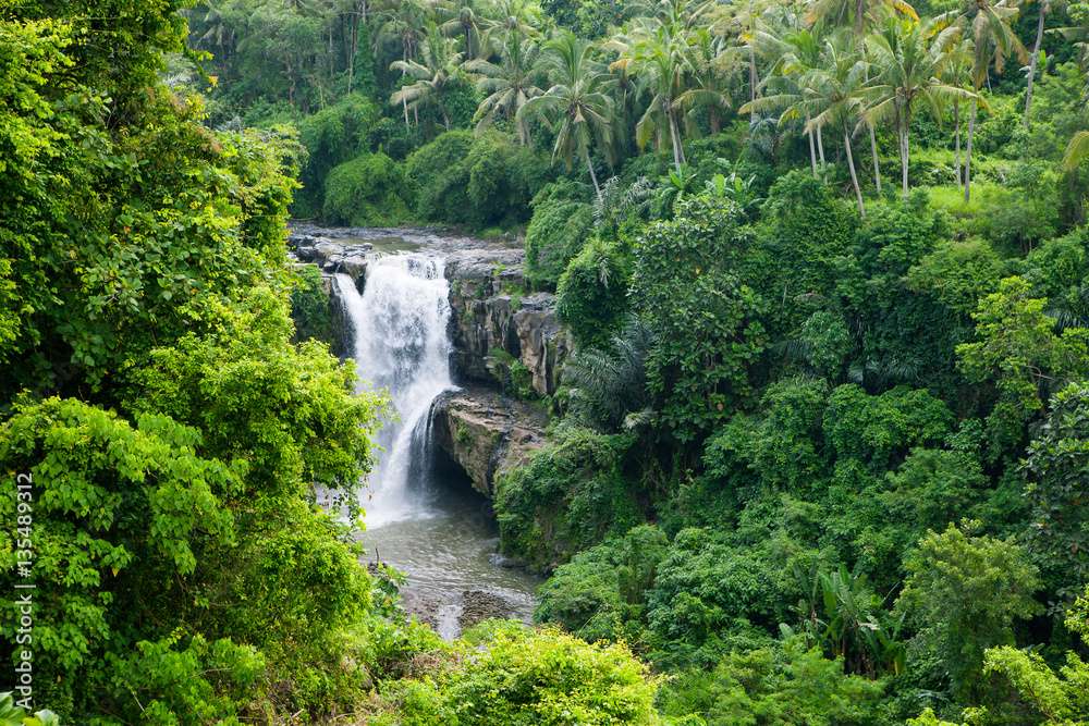 Bellissima cascata nella foresta tropicale puzzle online