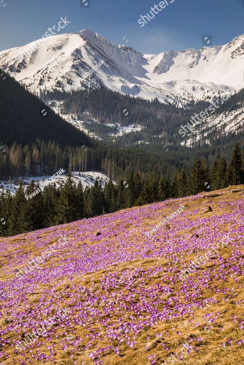 Le printemps dans les Tatras puzzle en ligne