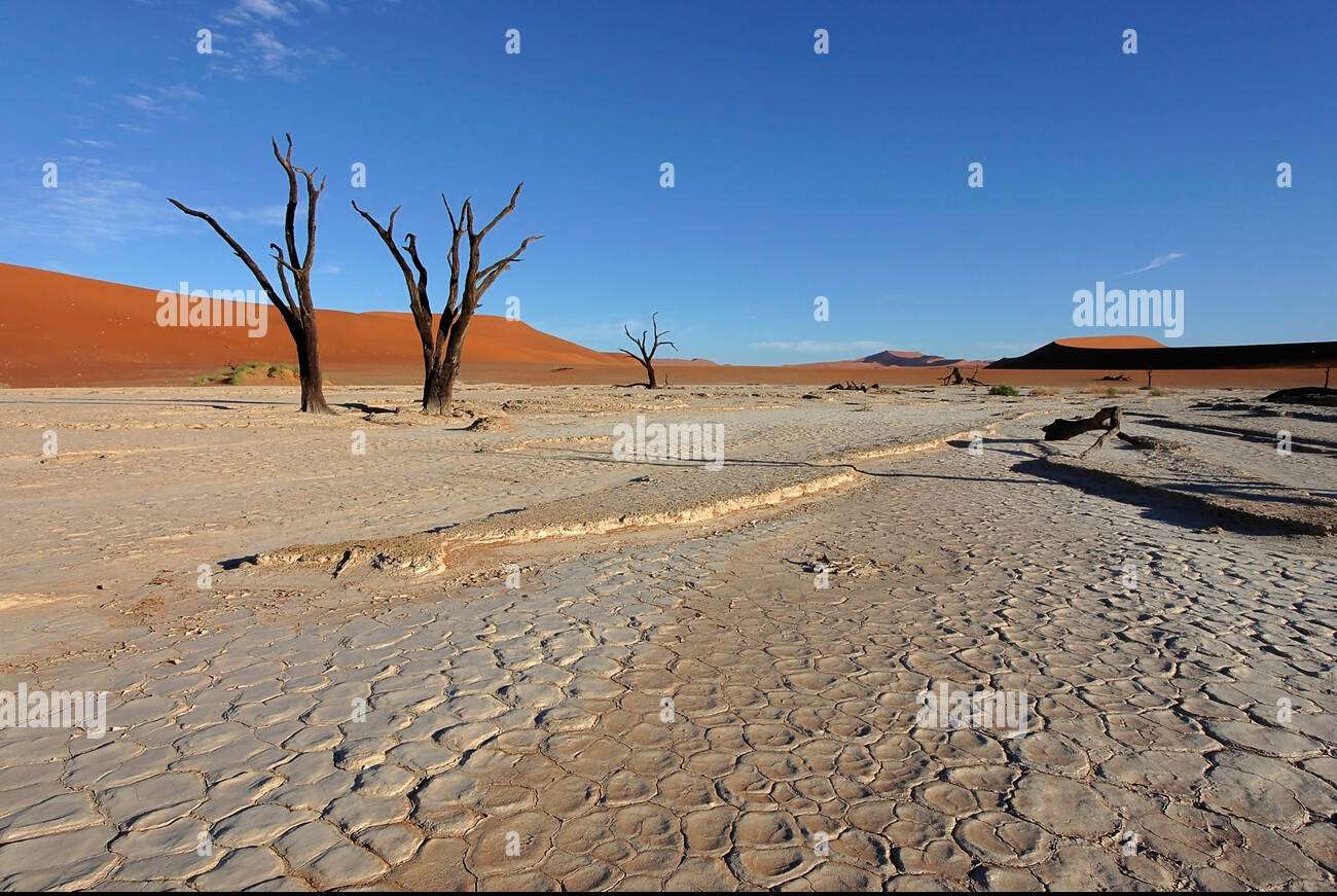 Deserto do Namibe, Namíbia puzzle online