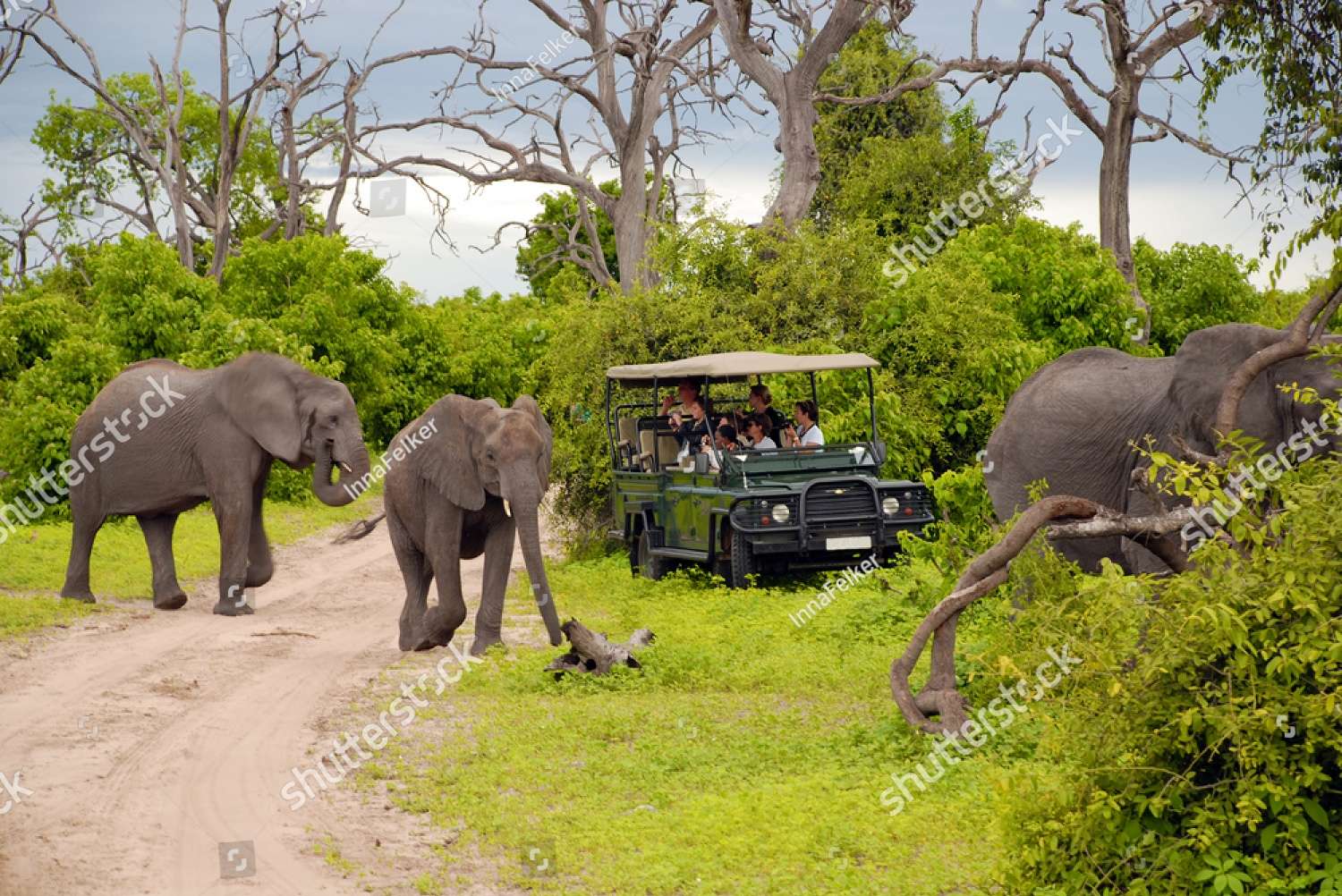 Convidados inesperados durante o Safari quebra-cabeças online