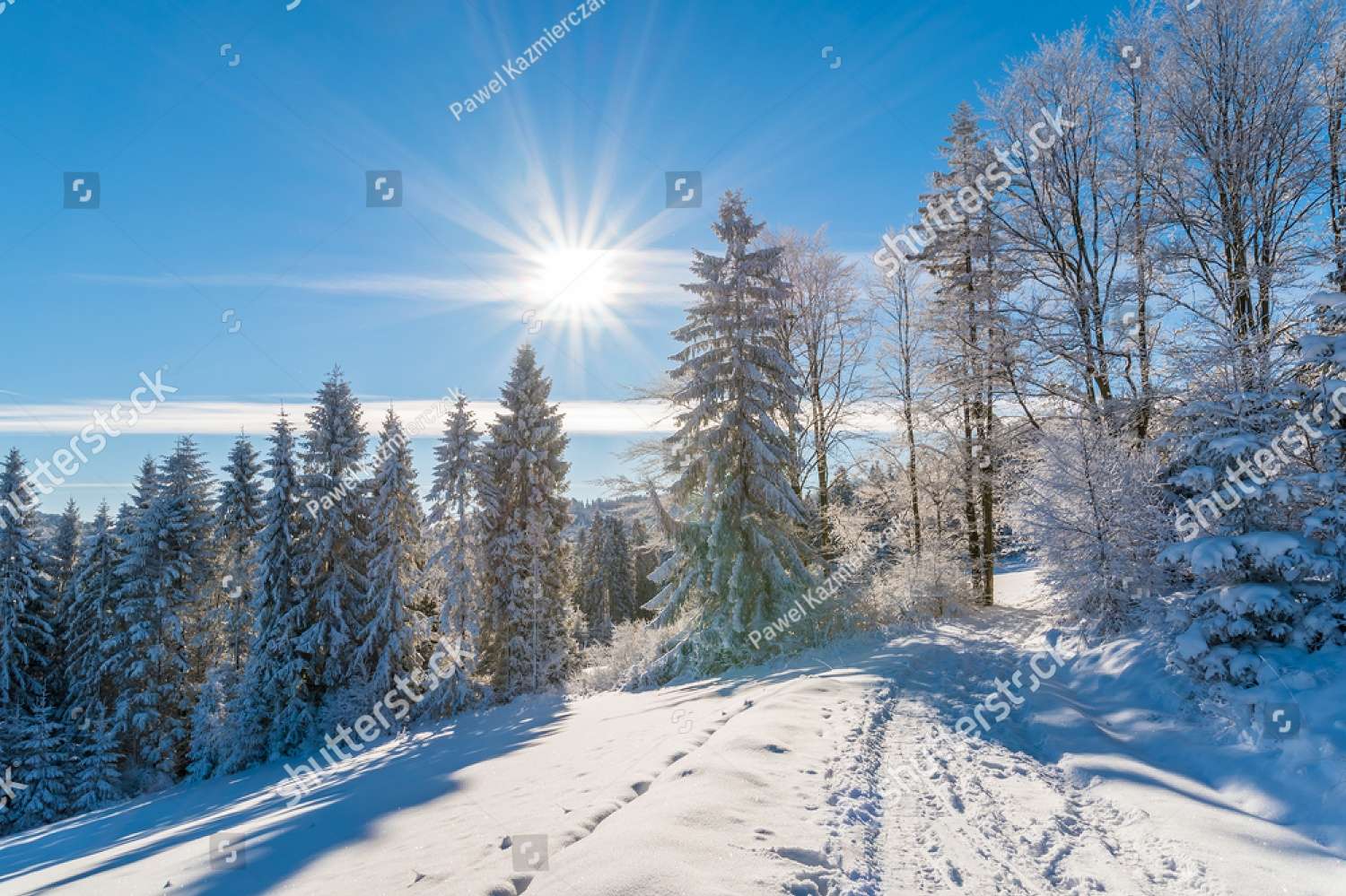 Snow View jigsaw puzzle online