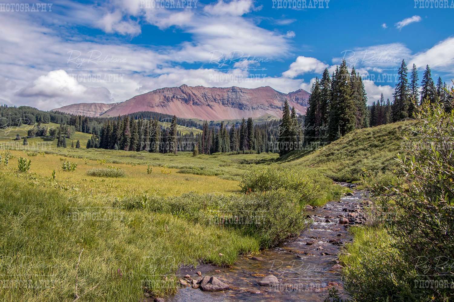 Un ruscello sullo sfondo di montagne e alberi puzzle online