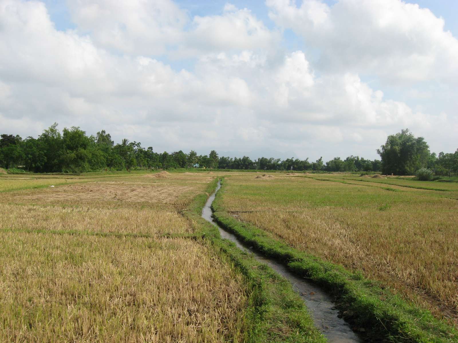 Narrow stream in the field jigsaw puzzle online