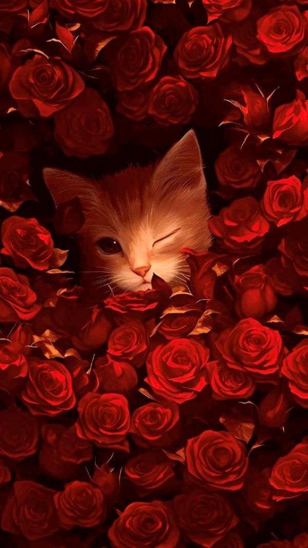 Cat in red roses. jigsaw puzzle online