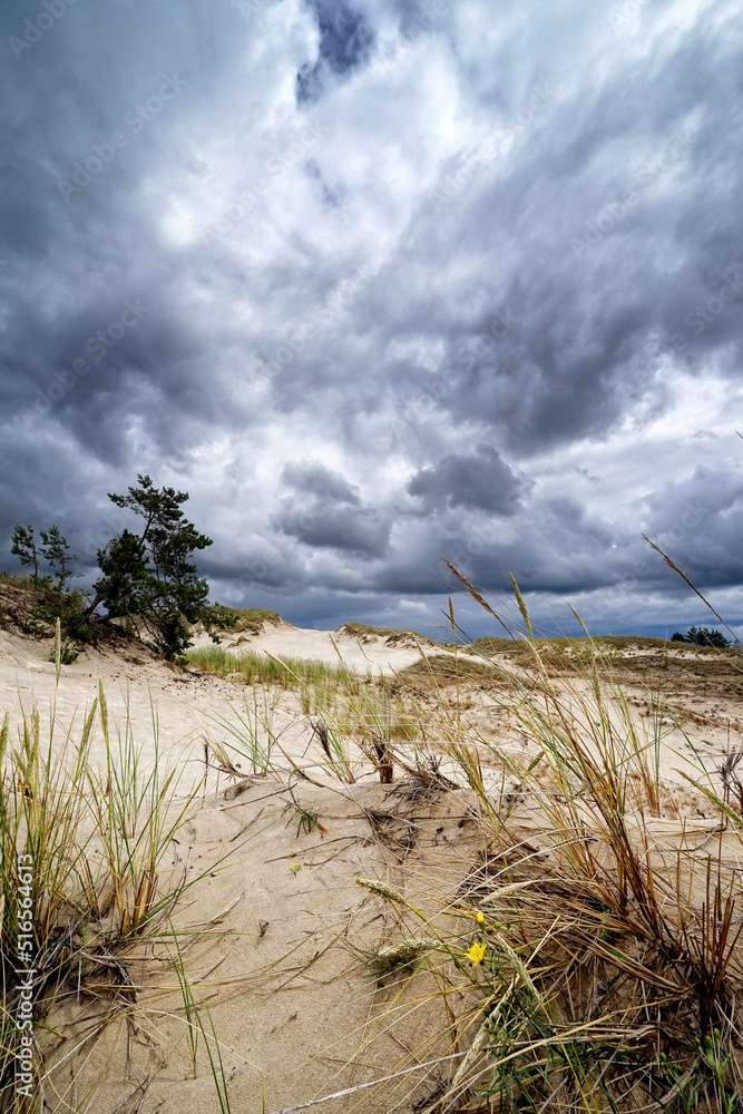 Parque Nacional Słowiński rompecabezas en línea