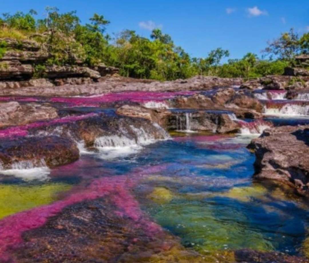 Río Arcoiris, Colombia rompecabezas en línea