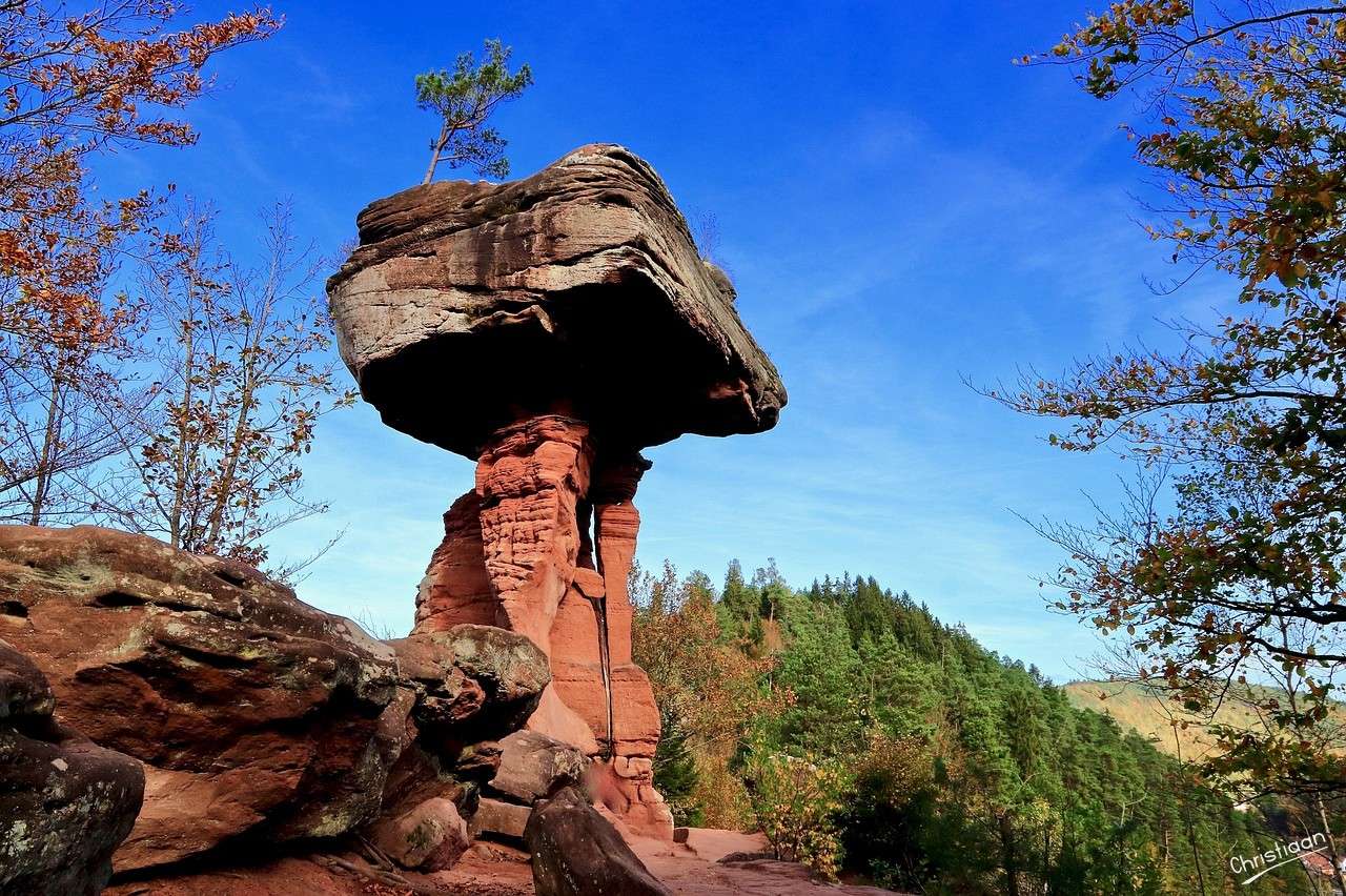 Ďábelský stůl, kámen, les. skládačky online